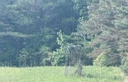 001 Hindman Rd, Hodges, AL 35571