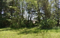 14119 W Maple Road, Mokena, IL 60448