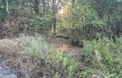 Highway 82, Vinita, OK 74301