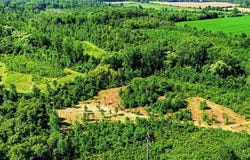 Barnum Rd, Akron, NY 14001
