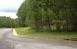 Covington Way, Lanett, AL 36863