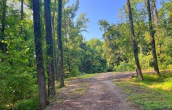 Rison St., PARIS, TN 38242