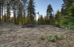 NNA White Cloud, Sandpoint, ID 83864