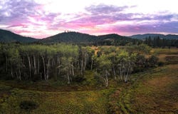 NNA E Dudley Rd, Cataldo, ID 83810