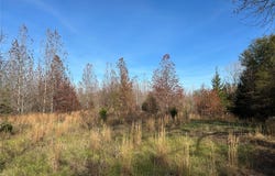 COUNTY ROAD 1412, Bogata, TX 75416