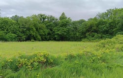 Ash Avenue, Batavia, IA 52533