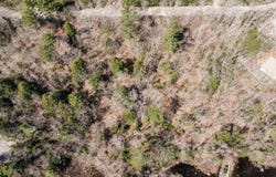 M035L11-14 Ring Bolt Lane, Surry, ME 04684