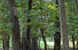 1572 Via Dirupo Drive, Porto Cima, MO 65079