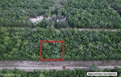 GLORIA, Interlachen, FL 32148