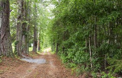554 Poplar Springs Road, Walhalla, SC 29691