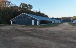 1034 MCCRARY ROAD, Downsville, LA 71234