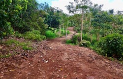 Pr-165 Km 5.0 BO. QUEBRADA CRUZ, TOA ALTA, 00953