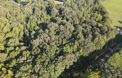 Juno Bargerton Rd, Lexington, TN 38351
