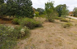 State Highway Bb, Hartville, MO 65667