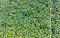 10 & 11 Little Deer Drive, Dittmer, MO 63023