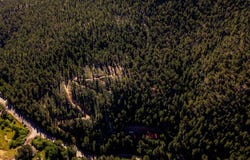11002 Twin Spruce Rd, Golden, CO 80403