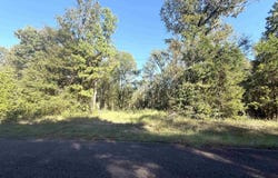 TBD Tr 6G CR 4606, Troup, TX 75789