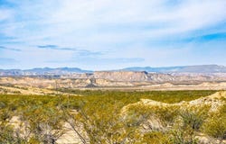 14192 La Luna Rd, Terlingua, TX 79852
