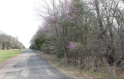 Whispering Oaks Road, Tecumseh, OK 74873
