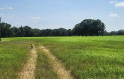 7485 CR 3913, Athens, TX 75752