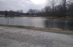 FLAMINGO Road, Sparta, IL 62286