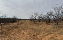 FM 1609, Snyder, TX 79549