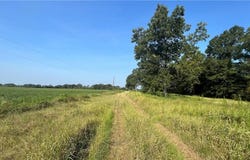 Lott Road, Chunchula, AL 36521