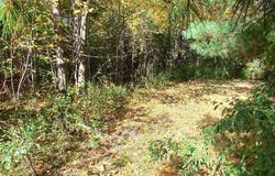 County Road 378, Covert, MI 49043