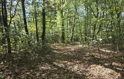 HURT HOLLOW RD, BANCO, VA 22711