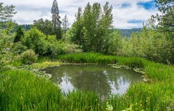 11598 Butte Falls Highway, Eagle Point, OR 97524