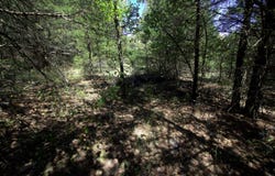 Tract 2&3 Simpson Rd, Urbana, MO 65767