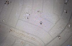 870 Montgomery Ave, Thermal, CA 92274