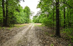 County Rd 317, Tecumseh, MO 65760