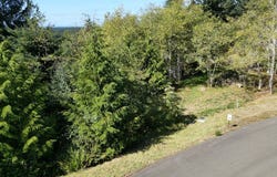 Ocean View Dr, Florence, OR 97439