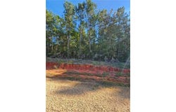 MAKINLEY Loop lot: 53, Amite, LA 70422