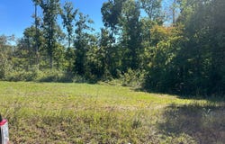 Brewstertown Rd, Robbins, TN 37852