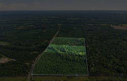 Catalina Boulevard lot: 2, Swansea, SC 29160