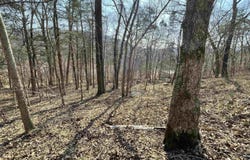 Peace Mountain Road, Mountain View, AR 72560