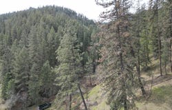 Highway 12, Orofino, ID 83544