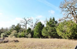 Parcel 5 Lobo Lane, Columbus, TX 78934