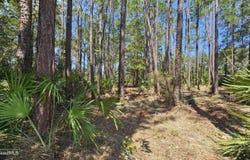 323 Baker Creek Road, Nahunta, GA 31553