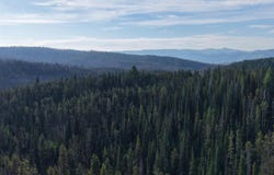 Copperhead Rd, Dixie, ID 83525