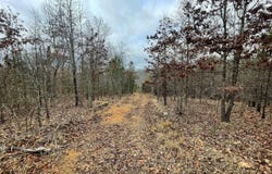 Tomahawk Slab Road, Saint Joe, AR 72675