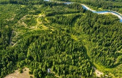 2225 Mud Gulch Rd, Priest River, ID 83856