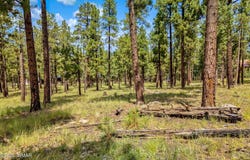 16 N1062, Greer, AZ 85927