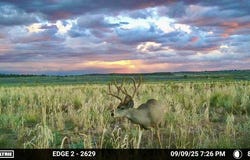 163 CR 402, Lindrith, NM 87029