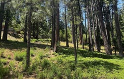 2904 Venado DR, Arnold, CA 95223