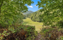 120 Holly Forest Ct, Sapphire, NC 28774