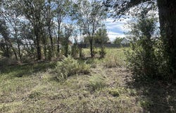 S River Road lot: 143, Eagar, AZ 85925
