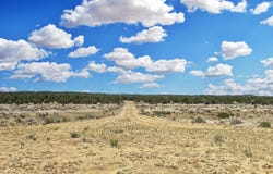 Lot 2 Slurry Rd, Pie Town, NM 87827
